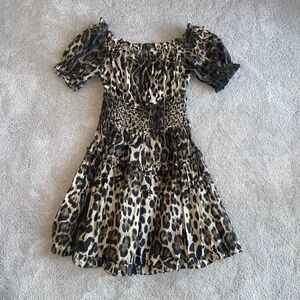 Leopard Print fit and flair dress